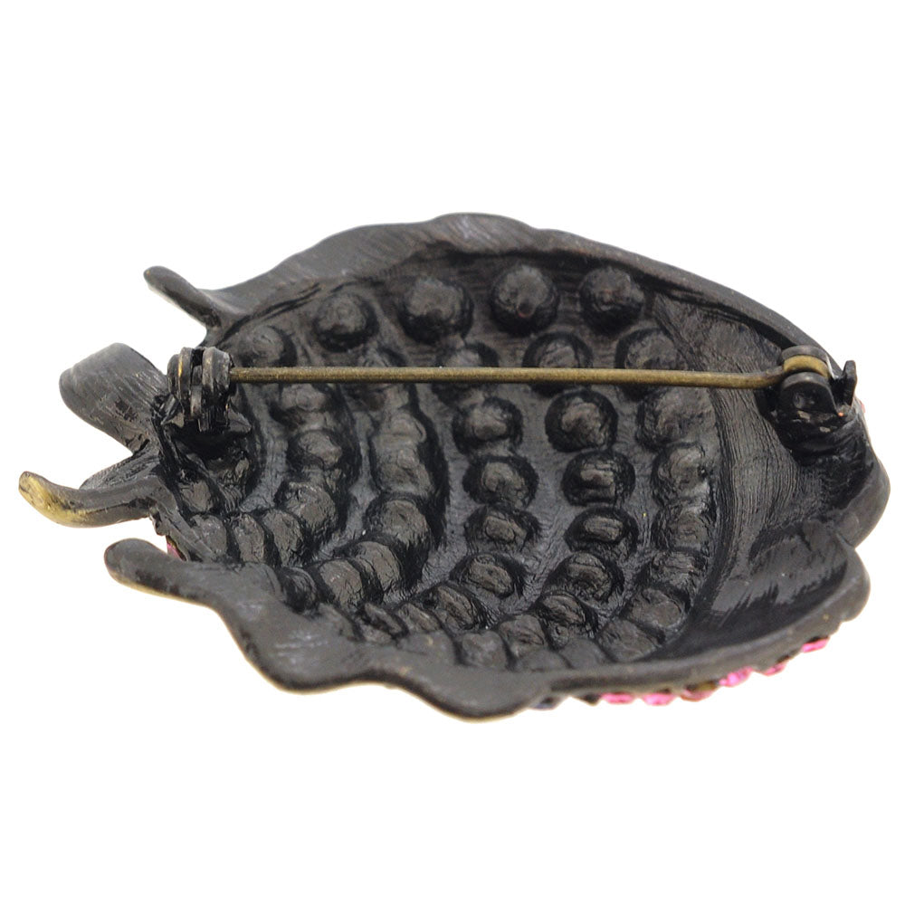 Multicolor Angle Fish Pin Brooch